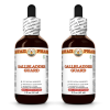 Gallbladder Guard Liquid Extract, Artichoke, Dandelion, Corn Silk, Tansy, Burdock Tincture Herbal Supplement 2x2 Oz