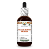 Gallbladder Guard Alcohol-FREE Herbal Liquid Extract, Artichoke, Dandelion, Corn Silk, Tansy, Burdock Glycerite 2 Oz