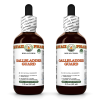 Gallbladder Guard Alcohol-FREE Herbal Liquid Extract, Artichoke, Dandelion, Corn Silk, Tansy, Burdock Glycerite 2x2 Oz