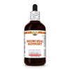 Bronchial Support Liquid Extract, Echinacea Dried Root, Garlic Dried Bulb, Umckaloabo Dried Root Tincture Herbal Supplement 4 Oz