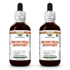 Bronchial Support Alcohol-FREE Herbal Liquid Extract, Echinacea Dried Root, Garlic Dried Bulb, Umckaloabo Dried Root Glycerite 2x2 Oz