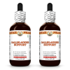 Gallbladder Support Liquid Extract, Green Tea leaf, Turmeric root, Milk Thistle seed Tincture Herbal Supplement 2x2 Oz