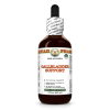 Gallbladder Support Alcohol-FREE Herbal Liquid Extract, Green Tea leaf, Turmeric root, Milk Thistle seed Glycerite 2 Oz