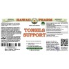 Tonsils Support Alcohol-FREE Herbal Liquid Extract, Hawthorn Dried Flower, Kudzu Dried Root, Arjuna Dried Root Glycerite
