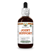 Joint Support Alcohol-FREE Herbal Liquid Extract, Ginger, Turmeric, Yucca, Licorice Glycerite 2 Oz
