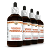 Vision Formula Liquid Extract, Reishi mushroom, Rhodiola root, Cat's Claw inner bark Tincture Herbal Supplement 4x4 Oz