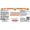 Thyroid Support Liquid Extract, Kelp Dried Whole Plant, Oatstraw Dried Stem and Leaf, Horsetail Dried Herb Tincture