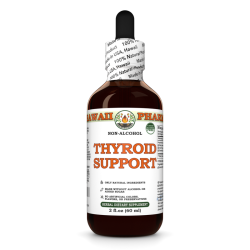 Thyroid Support Alcohol-FREE Herbal Liquid Extract, Kelp Dried Whole Plant, Oatstraw Dried Stem and Leaf, Horsetail Dried Herb Glycerite