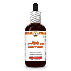 Wild Lettuce And Dogwood Liquid Extract, Wild Lettuce herb, Dogwood bark Tincture Herbal Supplement