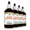 Sleep Support Alcohol-FREE Herbal Liquid Extract 4x4 Oz