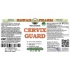 Cervix Guard Alcohol-FREE Herbal Liquid Extract, Green Tea leaf, Astragalus root, Holy Basil leaf, Thyme leaf, Ginger root, Turmeric rhizome Glycerite