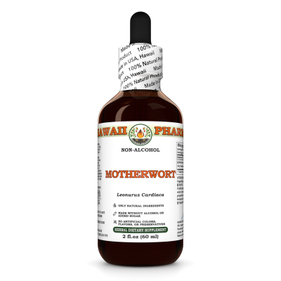 Motherwort Alcohol-FREE Liquid Extract, Motherwort (Leonurus Cardiaca) Dried Herb Glycerite