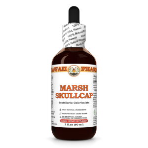 Marsh Skullcap Tincture, Scutellaria Galericulata Root