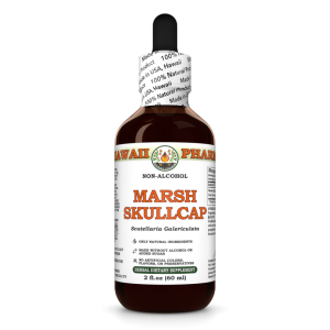 Marsh Skullcap Alcohol-Free Glycerite, Scutellaria Galericulata Root