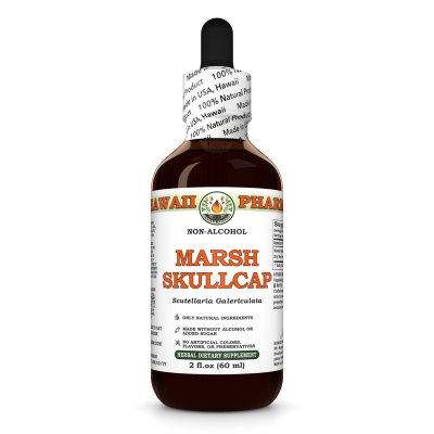 Marsh Skullcap Alcohol-FREE Liquid Extract, Marsh Skullcap (Scutellaria galericulata) Dried Root Glycerite