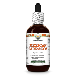 Mexican Tarragon Alcohol-FREE Liquid Extract, Organic Mexican Tarragon (Tagetes Lucida) Dried Steam and Flower Glycerite