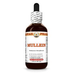 Mullein Liquid Extract, Organic Mullein (Verbascum Densiflorum) Dried Flower Tincture