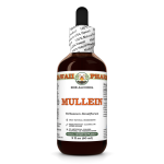 Mullein Alcohol-FREE Liquid Extract, Organic Mullein (Verbascum densiflorum) Dried Flower Glycerite