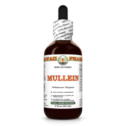 Mullein Alcohol-FREE Liquid Extract, Organic Mullein (Verbascum Thapsus) Dried Flower Glycerite