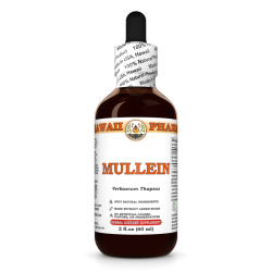 Mullein Liquid Extract, Organic Mullein (Verbascum Thapsus) Dried Leaf Tincture