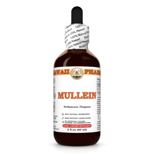 Mullein Liquid Extract, Mullein (Verbascum Thapsus) Dried Leaf Tincture