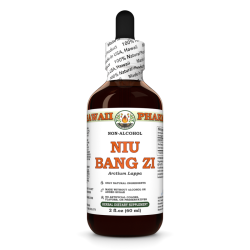 Niu Bang Zi Alcohol-FREE Liquid Extract, Niu Bang Zi, Burdock (Arctium Lappa) Seed Glycerite