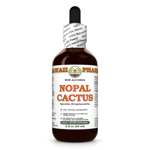 Nopal Cactus Alcohol-FREE Liquid Extract, Nopal Cactus (Opuntia Streptacantha) Whole Dried Cactus Glycerite
