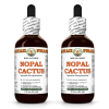 Nopal Cactus (Opuntia Streptacantha) 2x2 Oz