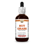 Nut Grass Liquid Extract, Dried rhizome (Cyperus Rotundus) Tincture