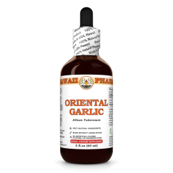 Oriental Garlic Liquid Extract, Dried seed (Allium Tuberosum) Tincture