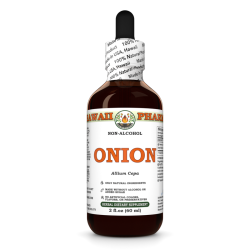 Onion Alcohol-FREE Liquid Extract, Onion (Allium Cepa) Dried Bulb Glycerite