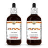 Papaya (Carica Papaya) 2x4 Oz