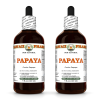 Papaya (Carica Papaya) 2x4 Oz