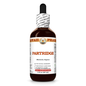 Partridge berry Liquid Extract, Partridge berry (Mitchella repens) Dried Herb Tincture