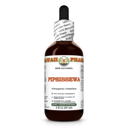 Pipsissewa Alcohol-FREE Liquid Extract, Pipsissewa (Chimaphila umbellata) Dried Leaf Glycerite