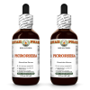 Picrorhiza (Picrorhiza Kurroa) 2x2 Oz