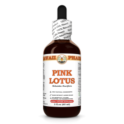 Pink Lotus Liquid Extract, Organic Sacred Water Lotus (Nelumbo nucifera) Dried Flower Tincture