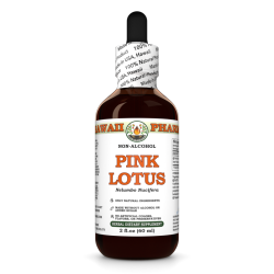 Pink Lotus Alcohol-FREE Liquid Extract, Organic Sacred Water Lotus (Nelumbo nucifera) Dried Flower Glycerite