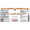 Plantain Liquid Extract, Organic Plantain (Plantago major) Dried Leaf Tincture