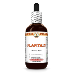 Plantain Liquid Extract, Organic Plantain (Plantago major) Dried Leaf Tincture
