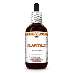 Plantain Liquid Extract, Plantain (Plantago major) Dried Leaf Tincture