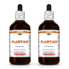 Plantain (Plantago Major) 2x4 Oz