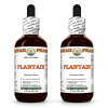 Plantain (Plantago Major) 2x2 Oz