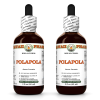 Polapola (Aerva Lanata) 2x2 Oz
