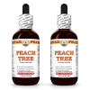 Peach Tree (Prunus Persica) 2x2 Oz