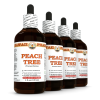 Peach Tree (Prunus Persica) 4x4 Oz