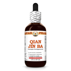 Qian Jin Ba (Flemingia Phillippinensis) Tincture, Dried Roots Liquid Extract, Makhiyoti, Herbal Supplement