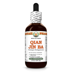 Qian Jin Ba (Flemingia Phillippinensis) Glycerite, Dried Roots Alcohol-Free Liquid Extract, Makhiyoti, Glycerite Herbal Supplement