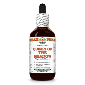 Queen Of The Meadow (Filipendula Ulmaria) Extract, Dried Flower ALCOHOL-FREE Liquid Extract