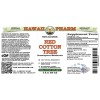 Red Cotton Tree (Gossampinus Malabarica) Glycerite, Organic Dried Flowers Alcohol-Free Liquid Extract